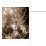 Fairy Arch, Mackinac Island by Anonymous