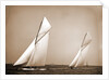 America's Cup Races, 10-3-01 by Anonymous