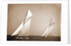 America's Cup Races, 10-3-01 by Anonymous