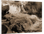 Waterfall by John Henry Twachtman