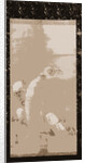White monkeys, 1900 by Okio Maruyama