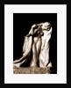 Psyche by Anonymous