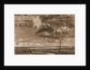 The kingdom of the winds by Algernon M Talmage
