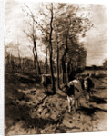The road to Blaricum by Anton Mauve