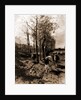 The road to Blaricum by Anton Mauve