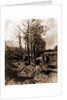 The road to Blaricum by Anton Mauve