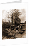 The road to Blaricum by Anton Mauve