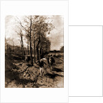 The road to Blaricum by Anton Mauve