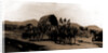 Returning from market, Amecameca by Anonymous