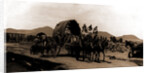 Returning from market, Amecameca by Anonymous
