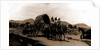 Returning from market, Amecameca by Anonymous