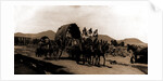 Returning from market, Amecameca by Anonymous