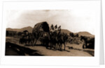 Returning from market, Amecameca by Anonymous