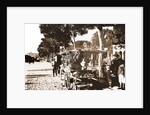 Fruit stands on the Prado by Anonymous