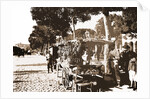 Fruit stands on the Prado by Anonymous