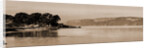 Palisades of the Hudson River, N.Y by William Henry Jackson