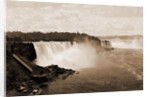 Niagara Falls from Steel Arch Bridge by William Henry Jackson