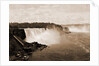 Niagara Falls from Steel Arch Bridge by William Henry Jackson
