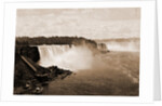 Niagara Falls from Steel Arch Bridge by William Henry Jackson