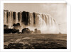 Horseshoe Fall, Niagara by William Henry Jackson