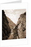 Platte Canon, Colorado by William Henry Jackson