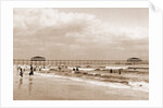 The Beach at Old Orchard, Maine by Anonymous