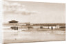 In the surf at Old Orchard, Maine by Anonymous