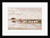 In the surf at Old Orchard, Maine by Anonymous