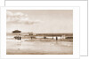 In the surf at Old Orchard, Maine by Anonymous