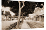Paseo del Prado by William Henry Jackson