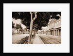 Paseo del Prado by William Henry Jackson