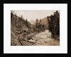 Colorado, Canon of the Rio las Animas by William Henry Jackson