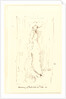 Harmony in Flesh Color & Pink, ca. 1881-1892 by James McNeill Whistler