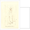 Harmony in Flesh Color & Pink, ca. 1881-1892 by James McNeill Whistler