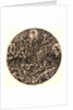 The Last Judgment, 16th century by Georges Reverdy