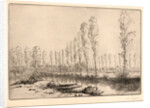 Près d'Amiens: Les Tourbières by Alphonse Legros