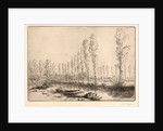 Près d'Amiens: Les Tourbières by Alphonse Legros