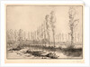Près d'Amiens: Les Tourbières by Alphonse Legros