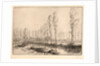 Près d'Amiens: Les Tourbières by Alphonse Legros