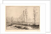Près d'Amiens: Les Tourbières by Alphonse Legros
