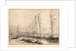 Près d'Amiens: Les Tourbières by Alphonse Legros