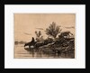 The Watering Place (L'Abreuvoir), 1848 by Charles Émile Jacque