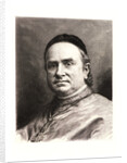 Monseigneur Pie, Évêque de Poitiers, 19th century by Claude-Ferdinand Gaillard