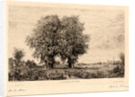 The Elms of Cenon (Les Ormeaux de Cénon), 19th century by Maxime Lalanne