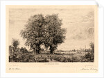 The Elms of Cenon (Les Ormeaux de Cénon), 19th century by Maxime Lalanne