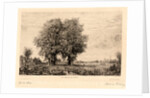 The Elms of Cenon (Les Ormeaux de Cénon), 19th century by Maxime Lalanne