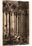 Gallery of Notre Dame, 1881 by Edmond Gosselin