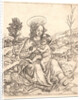 The Virgin and Child with a Bird, after 1500 by Cristofano Robetta