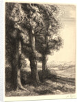 The Edge of the Woods (La Liseuse: La Lecture sous les Arbres) by Alphonse Legros