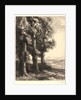 The Edge of the Woods (La Liseuse: La Lecture sous les Arbres) by Alphonse Legros